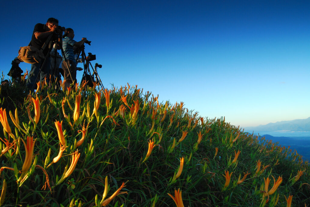 Liushishishan (六十石山), the Splendid Mountain of Daylily Photographers captured the scene in the morning.