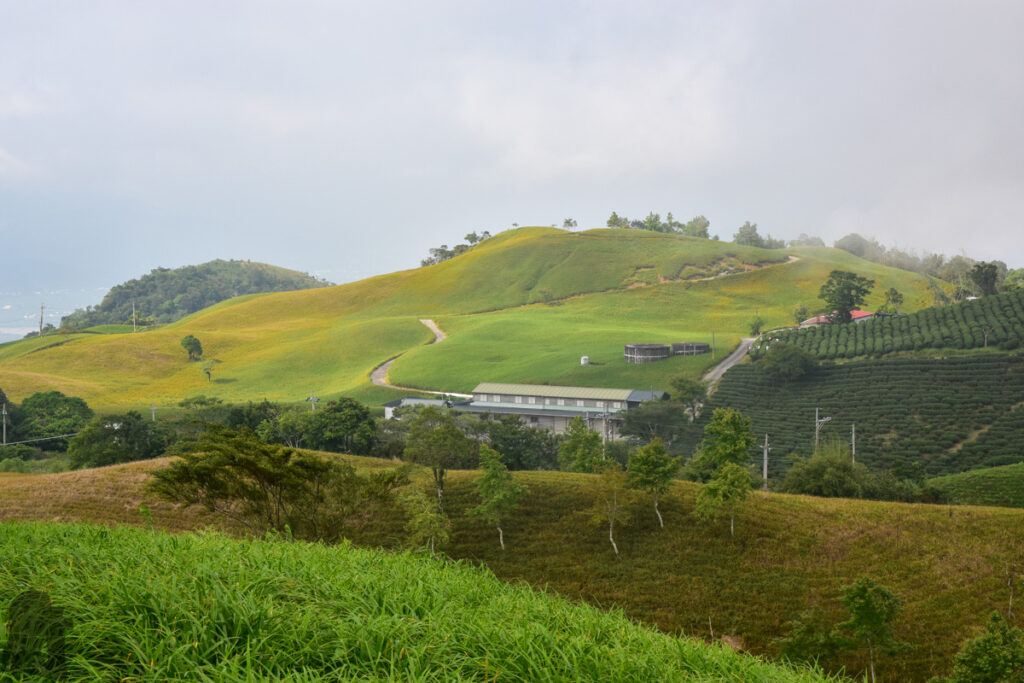 Liushishishan (六十石山), the Splendid Mountain of Daylily Liushishishan