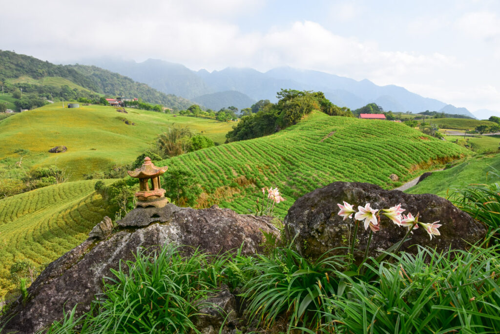 Liushishishan (六十石山), the Splendid Mountain of Daylily Liushishishan