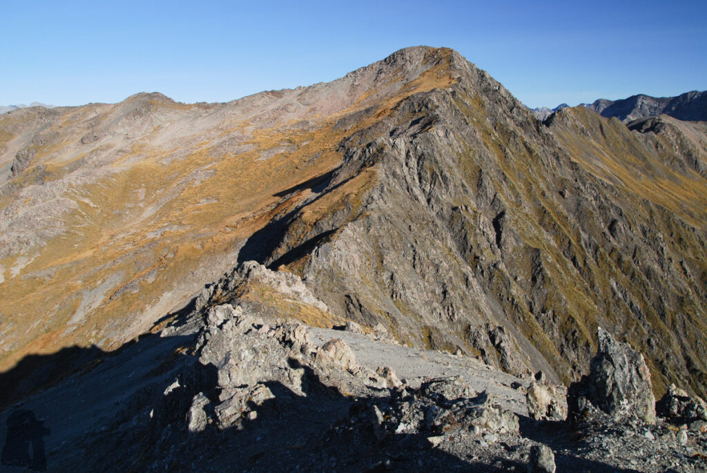Mt. Bealey - Avalanche Peak Traverse; the Exciting but not Extreme Off-Trail Hiking in Arthur's Pass National Park Mt. Bealey