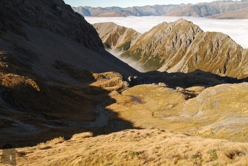Mt. Bealey - Avalanche Peak Traverse; the Exciting but not Extreme Off-Trail Hiking in Arthur's Pass National Park Mt. Bealey