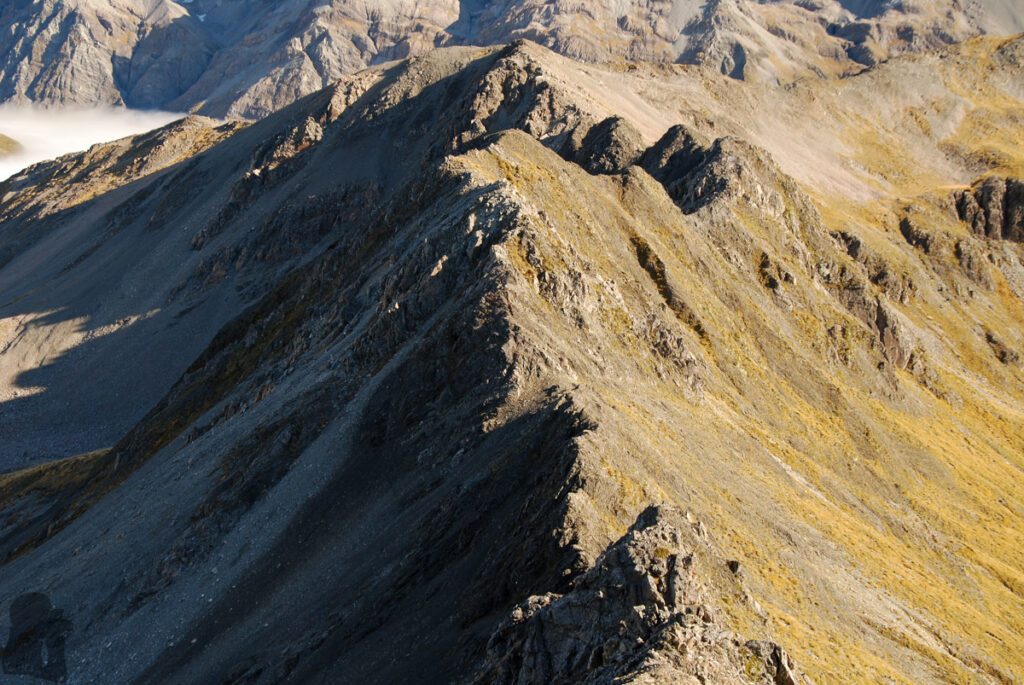 Mt. Bealey - Avalanche Peak Traverse; the Exciting but not Extreme Off-Trail Hiking in Arthur's Pass National Park The humps on the ridge between Mt. Bealey and Pt 1778, the most difficult section of the hike.