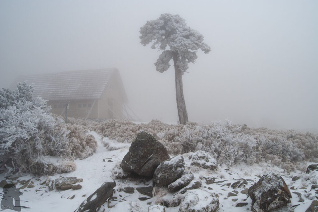 Nanhu Cabin