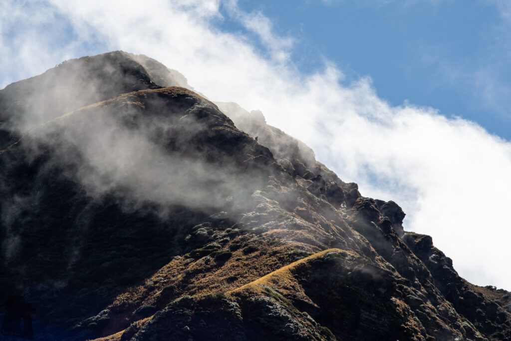 Qilaishan Main & North Peak (奇萊主北), My First Multiday Hike on the High Mountains of Magnificence and Misfortune A hiker walking down the Main Peak