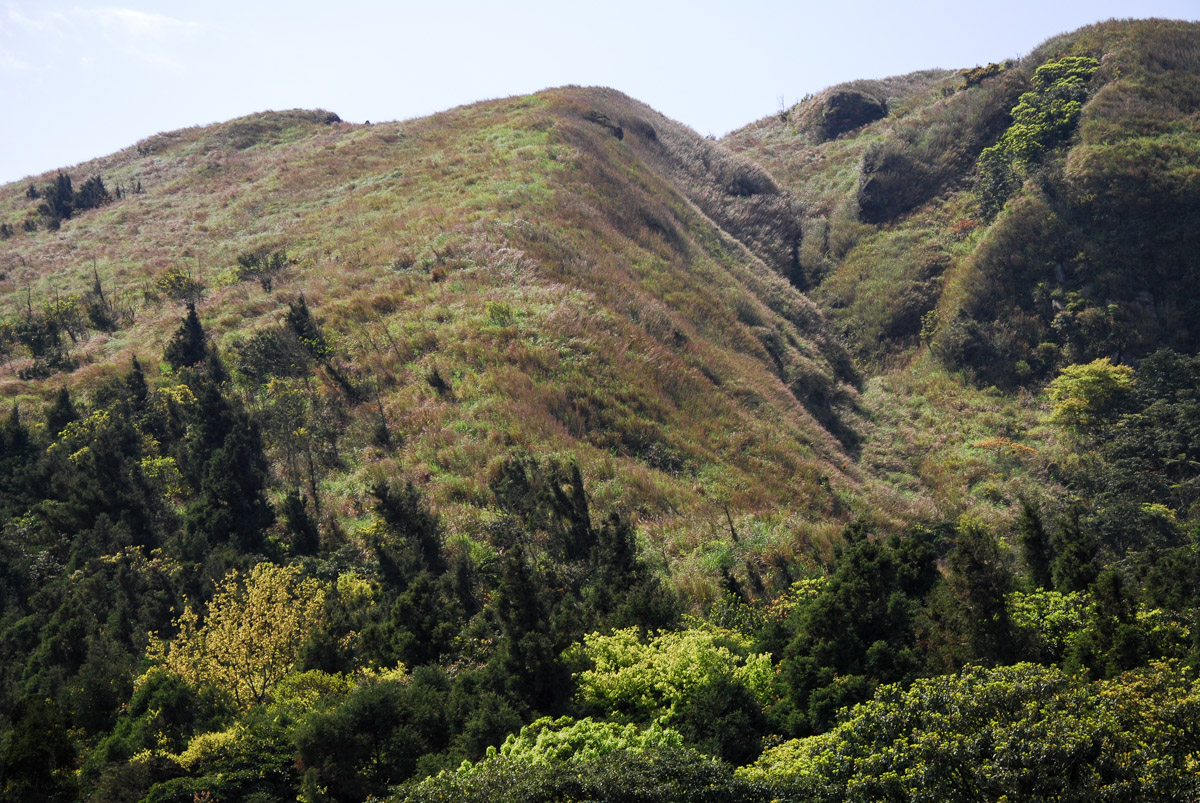 Qixingshan 七星山