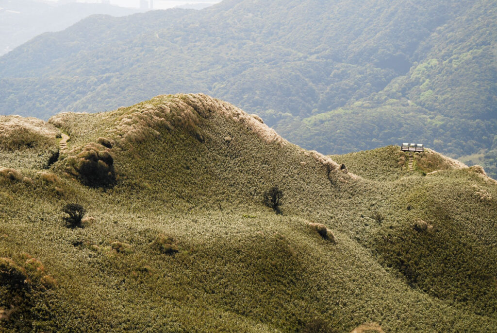 Qixingshan (七星山), the Easy Walk to the Tallest Mountain in Taipei City Qixingshan 七星山
