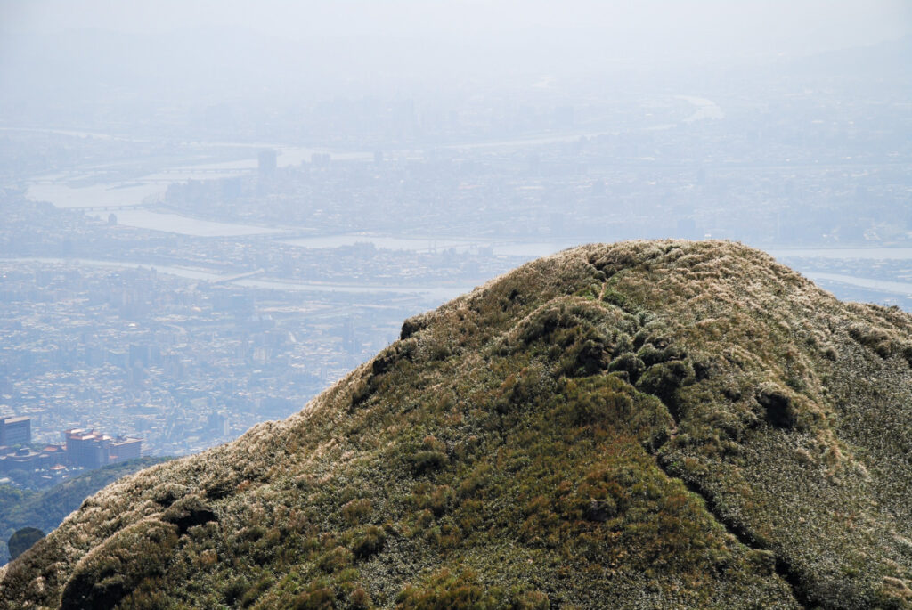 Qixingshan (七星山), the Easy Walk to the Tallest Mountain in Taipei City Qixingshan 七星山