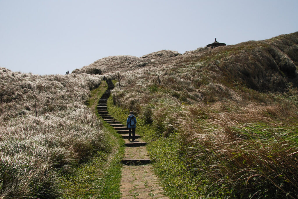 Qixingshan (七星山), the Easy Walk to the Tallest Mountain in Taipei City Qixingshan 七星山