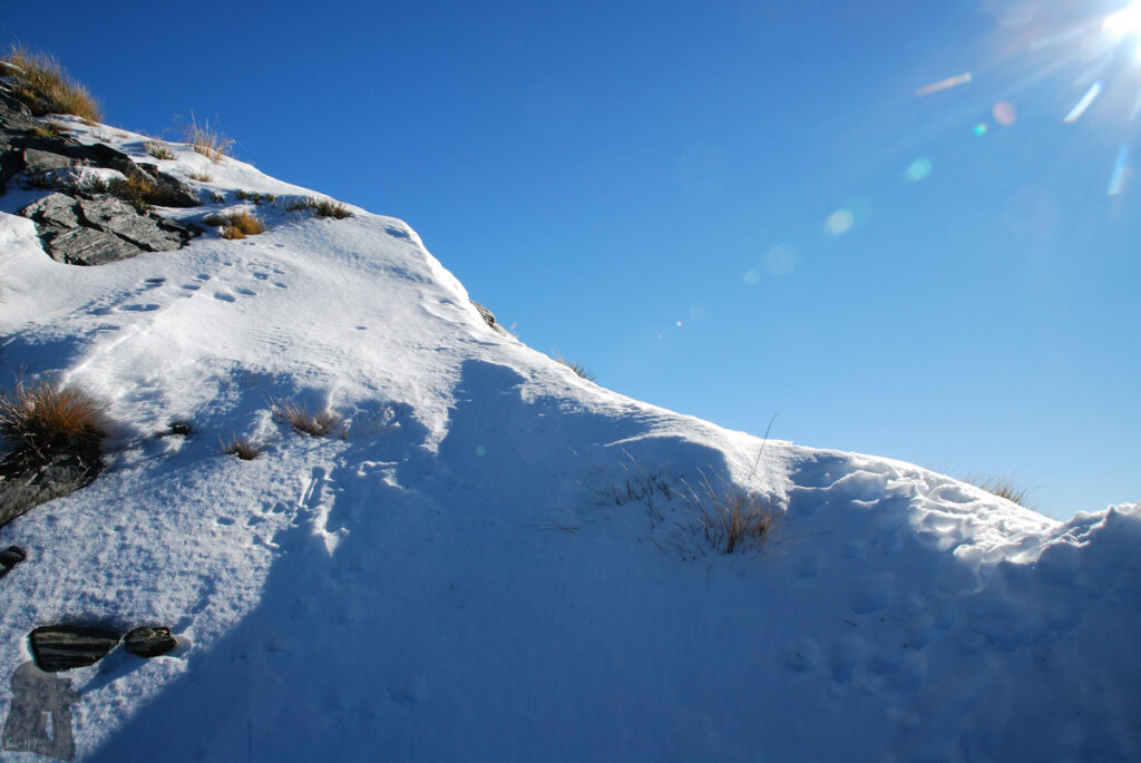 Sentinel Peak, the Summit on the Serrated Ridge Overlooks Lake Hāwea and Lake Wānaka Sentinel Peak