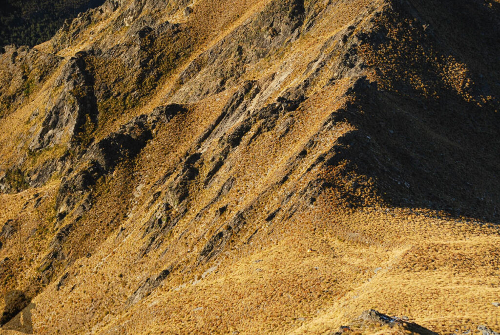 Sentinel Peak, the Summit on the Serrated Ridge Overlooks Lake Hāwea and Lake Wānaka The zoomed-in view of the saddle I stayed.
