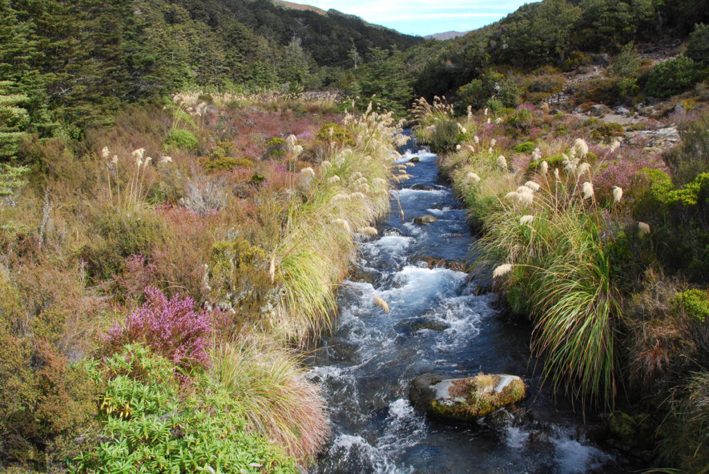 Tongariro Northern Circuit