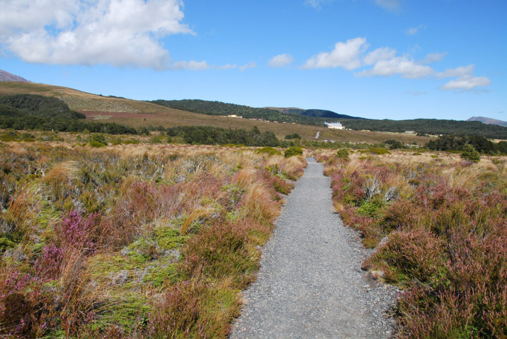 Tongariro Northern Circuit