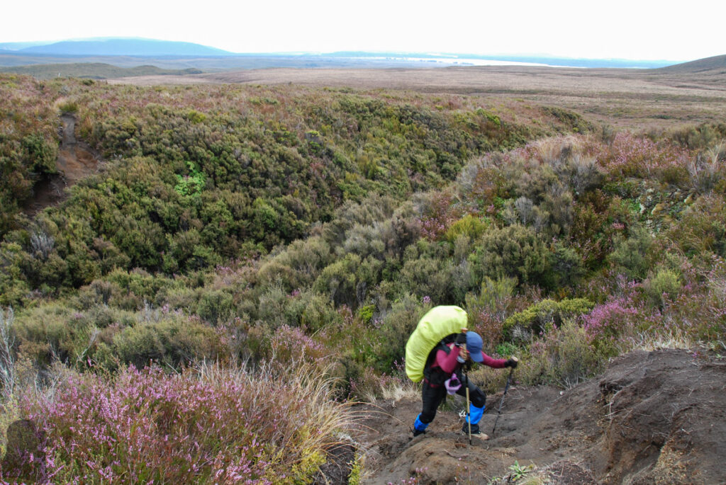 Tongariro Northern Circuit