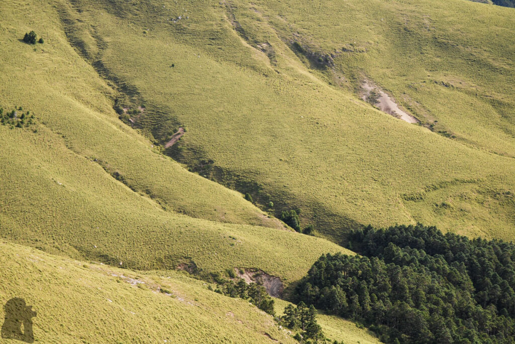 Daxueshan