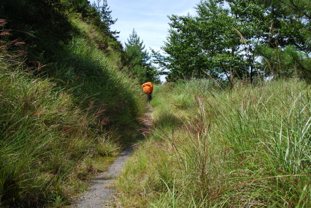 Xishishan Forest Road 230 Forest Road