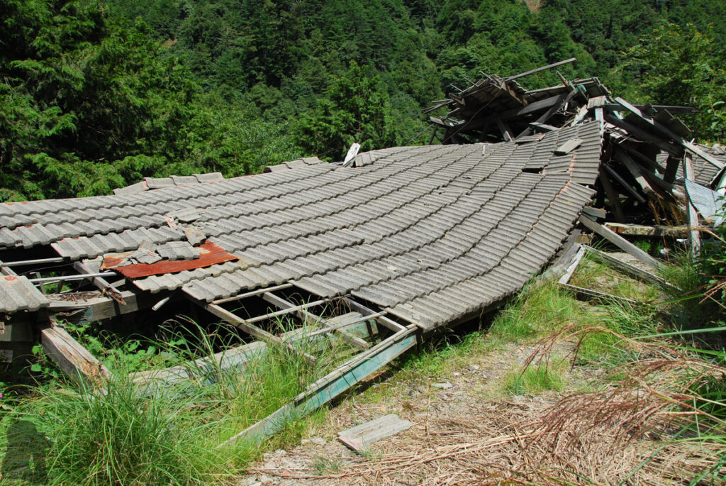 Xishishan Forest Road (230 Forest Road)
