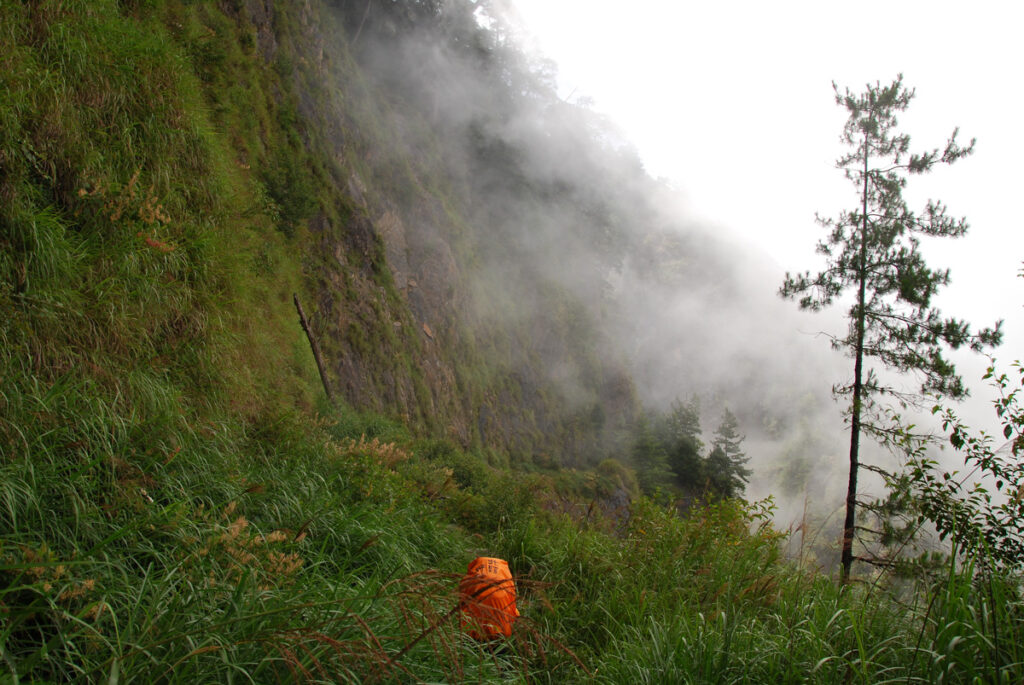 Xishishan Forest Road (230 Forest Road)