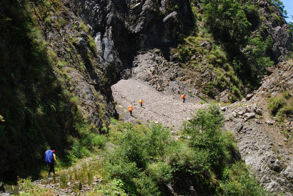 Xishishan Forest Road (230 Forest Road)