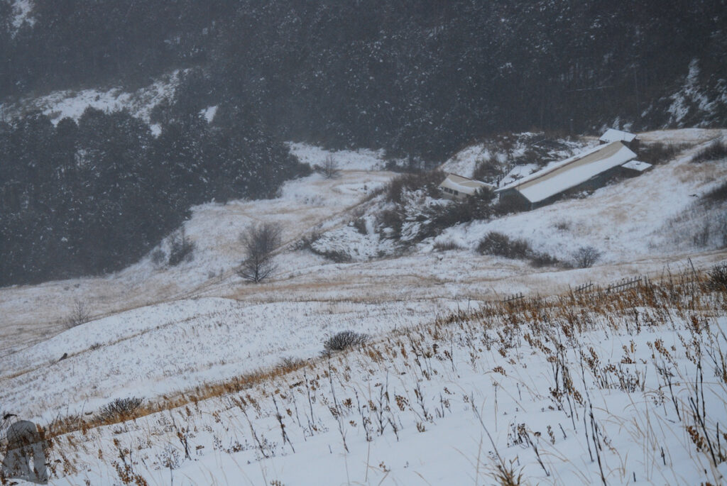 Saliujiu Cabin