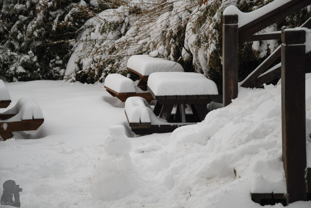 snowman at 369 Cabin
