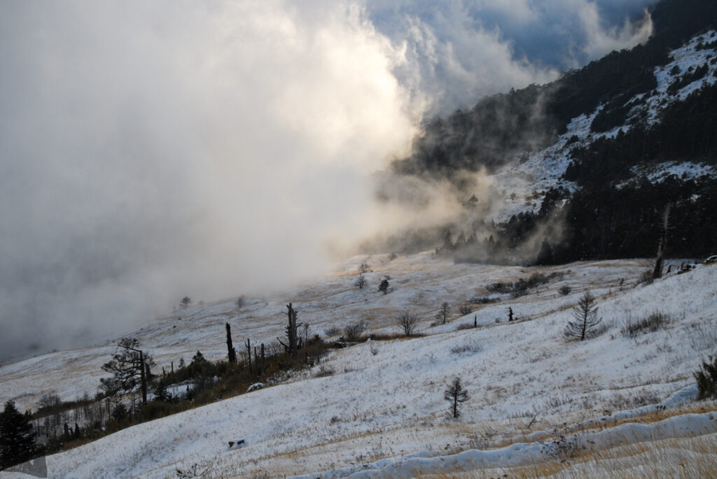 fog marched on snowy slope