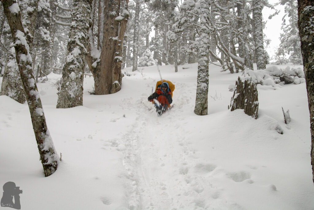 A kind of skiing in Black Forest
