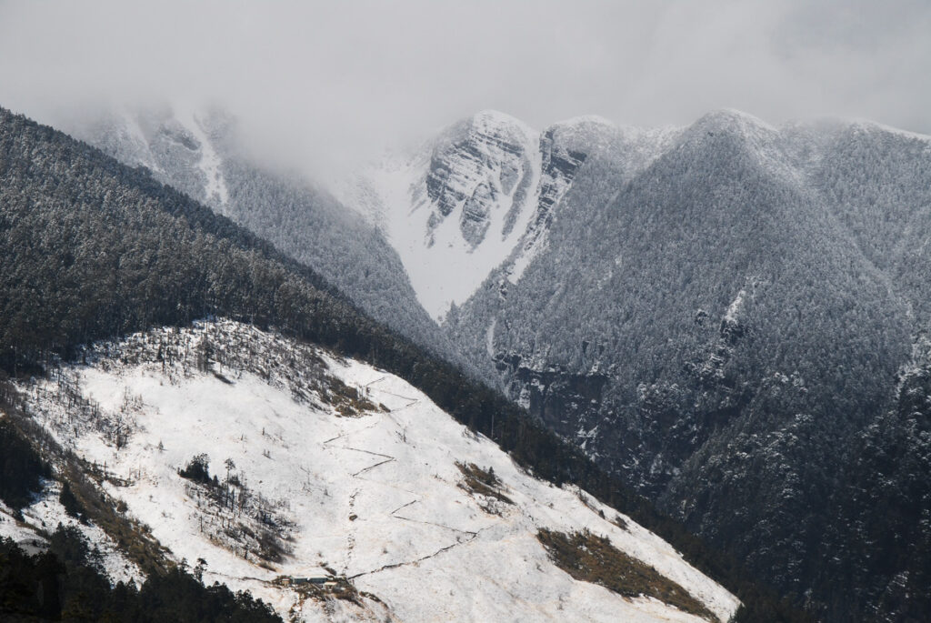 369 Cabin, the trail and Black Forest in an unusual tone