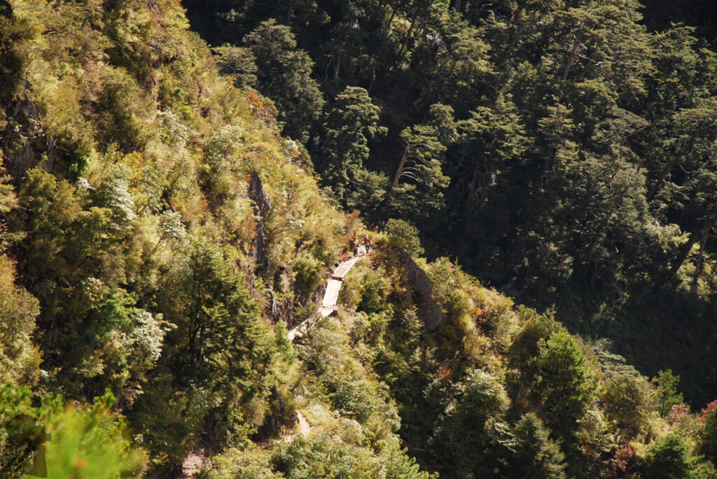 The walk on the first section after leaving the trail head at Tataka Saddle (塔塔加鞍部)