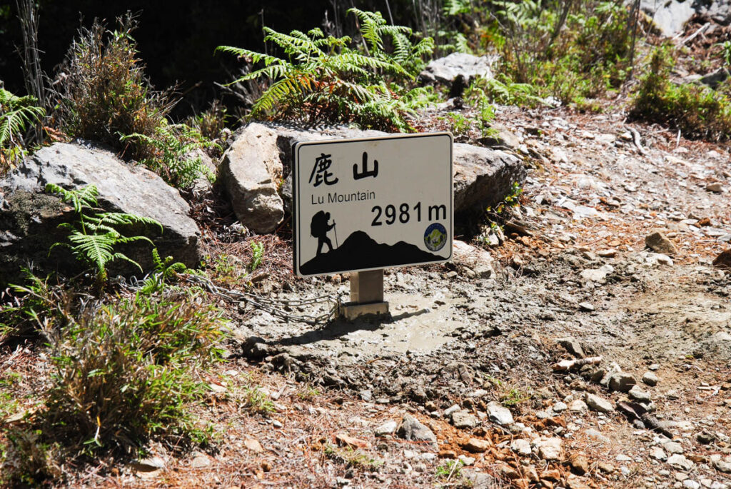 Yushan Rear Four Peaks (玉山後四峰), the Less-Visited Peaks to the South of Yushan, the Trails without Clamor Lushan