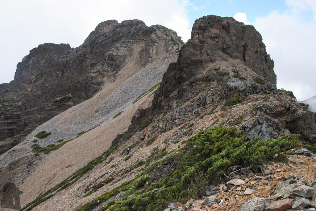 Yushan Rear Four Peaks (玉山後四峰), the Less-Visited Peaks to the South of Yushan, the Trails without Clamor The trail below Yushan South Peak
