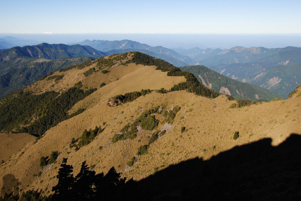 Yushan Rear Four Peaks (玉山後四峰), the Less-Visited Peaks to the South of Yushan, the Trails without Clamor Getting close to Nanyushan