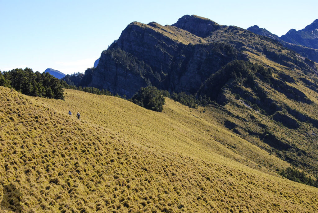 Yushan Rear Four Peaks (玉山後四峰), the Less-Visited Peaks to the South of Yushan, the Trails without Clamor Heading back to Yuanfong Cabin from Nanyushan