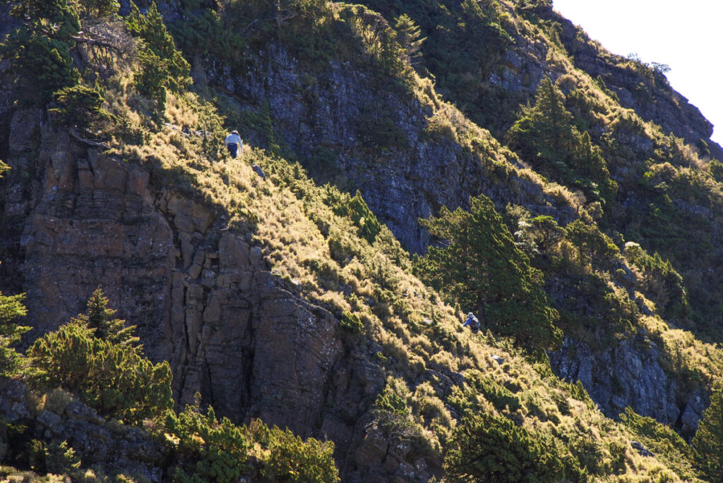 Yushan Rear Four Peaks (玉山後四峰), the Less-Visited Peaks to the South of Yushan, the Trails without Clamor Heading back to Yuanfong Cabin from Nanyushan