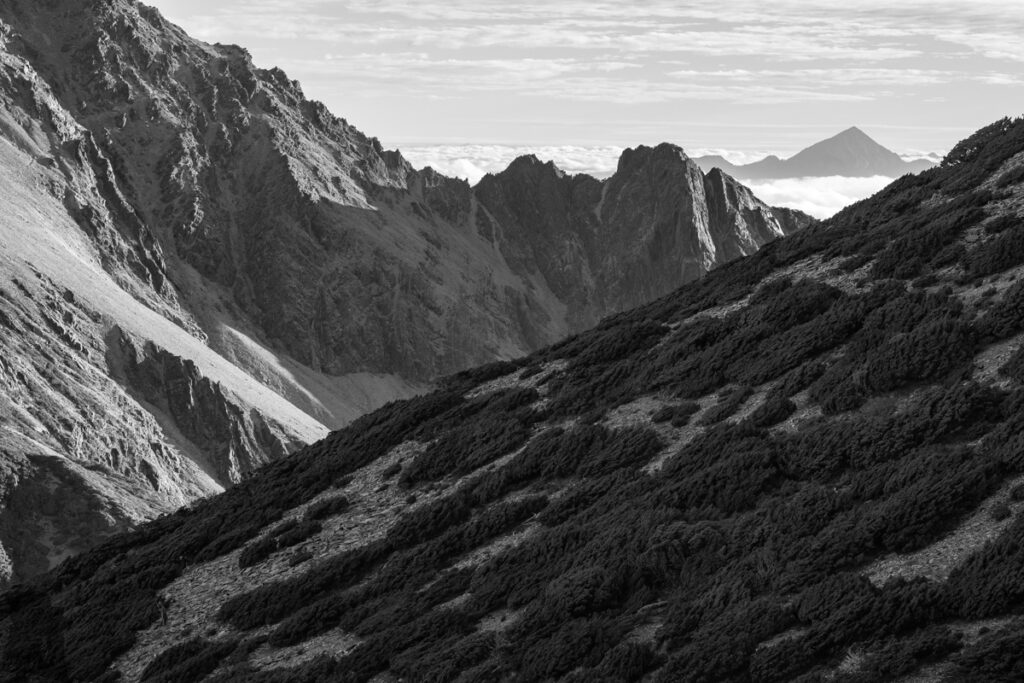 Yushan Rear Four Peaks (玉山後四峰), the Less-Visited Peaks to the South of Yushan, the Trails without Clamor Yushan Rear Four Peaks