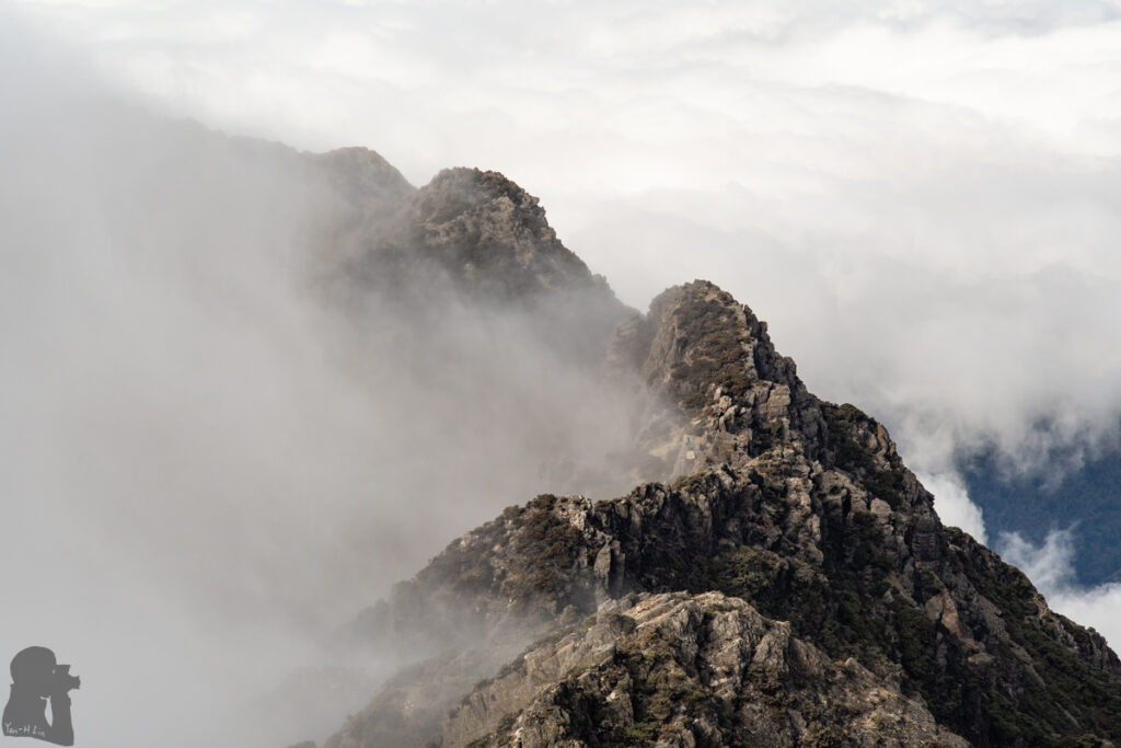 Yushan Rear Four Peaks (玉山後四峰), the Less-Visited Peaks to the South of Yushan, the Trails without Clamor Yushan Rear Four Peaks