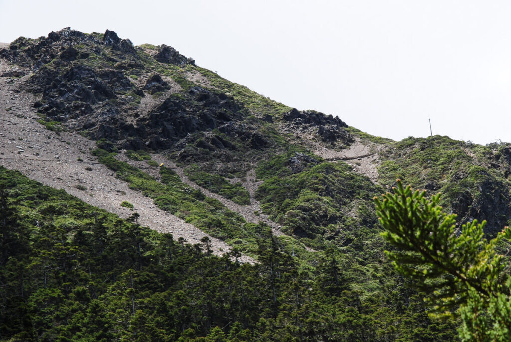 Yushan Rear Four Peaks (玉山後四峰), the Less-Visited Peaks to the South of Yushan, the Trails without Clamor The trail leading to Yuanfong Cabin