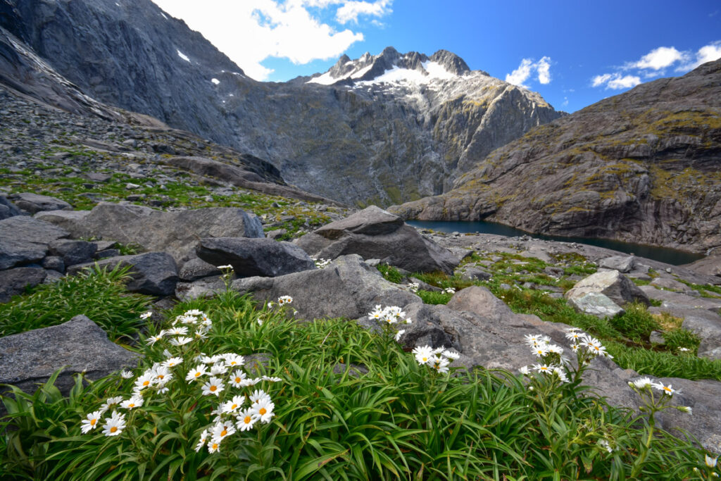 A camp near Barrier Knob; overlooking the dreamy Gertrude Valley and Lake Adelaide A picturesque scene around Black Lake