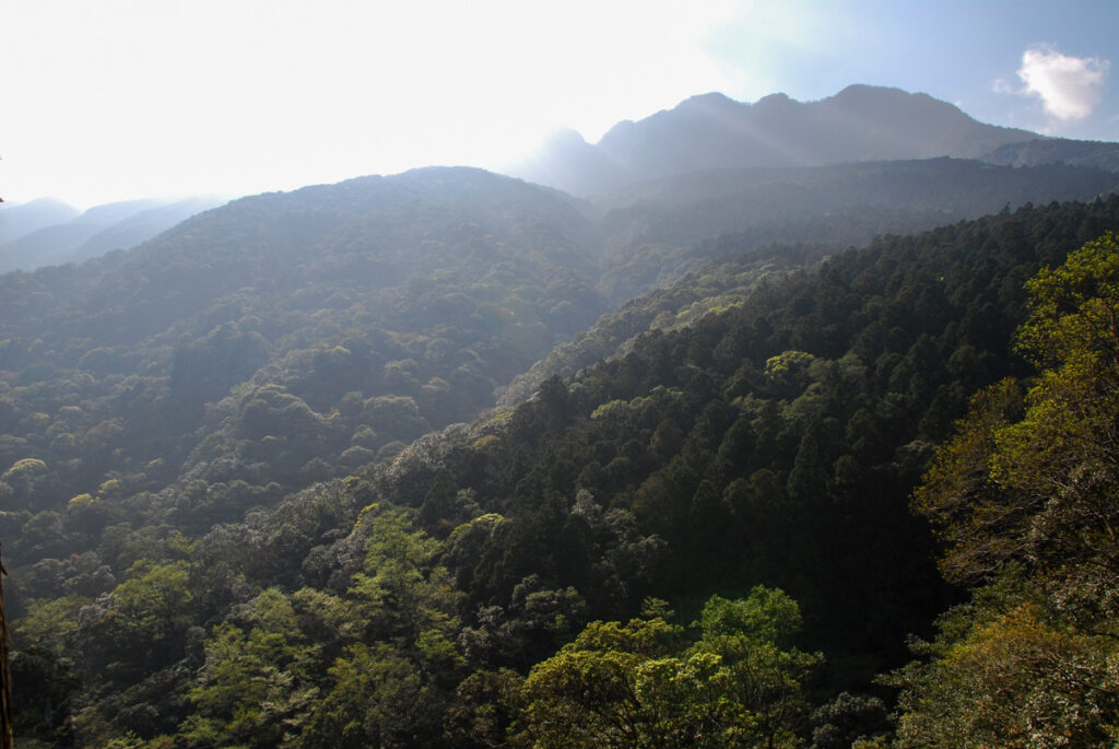 Beichatianshan (北插天山), a Touchstone Hike Before a Multi-day Hike Beichatianshan