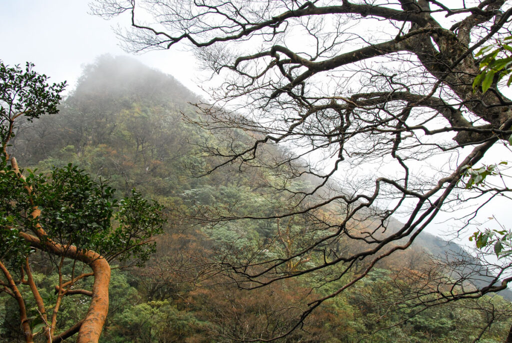 Beichatianshan (北插天山), a Touchstone Hike Before a Multi-day Hike Beichatianshan