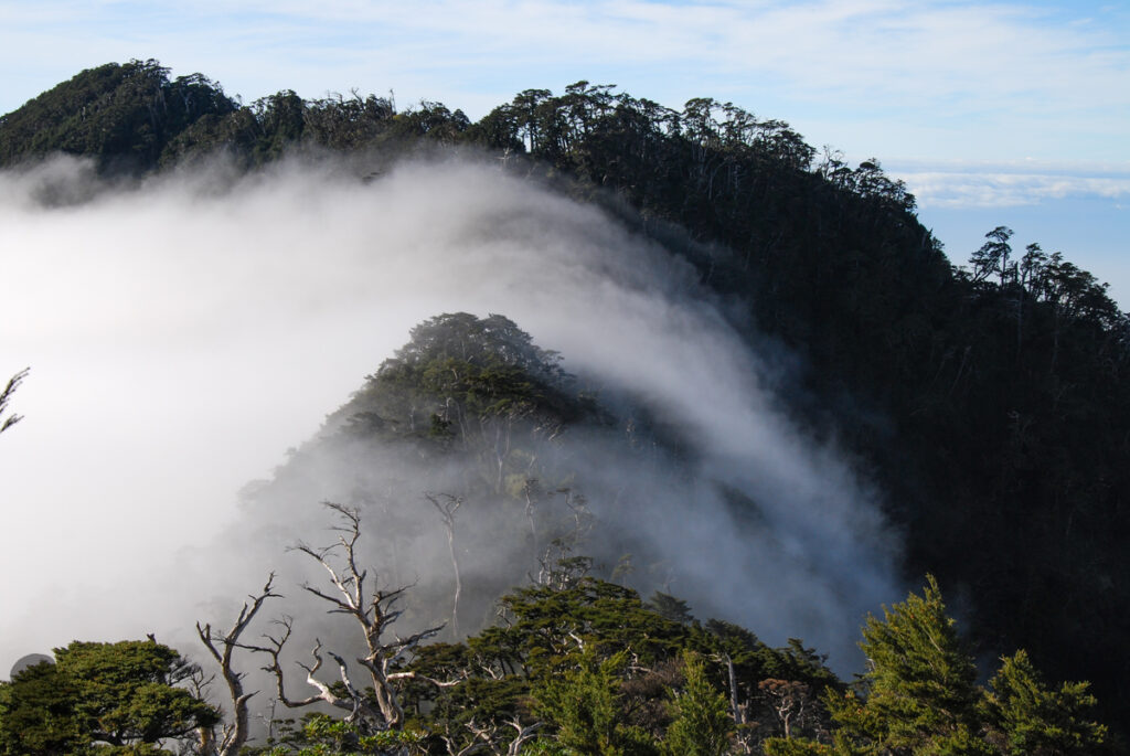 Beidawushan (北大武山), the Southernmost Baiyue, Guardian of the Southern Taiwan Beidawushan