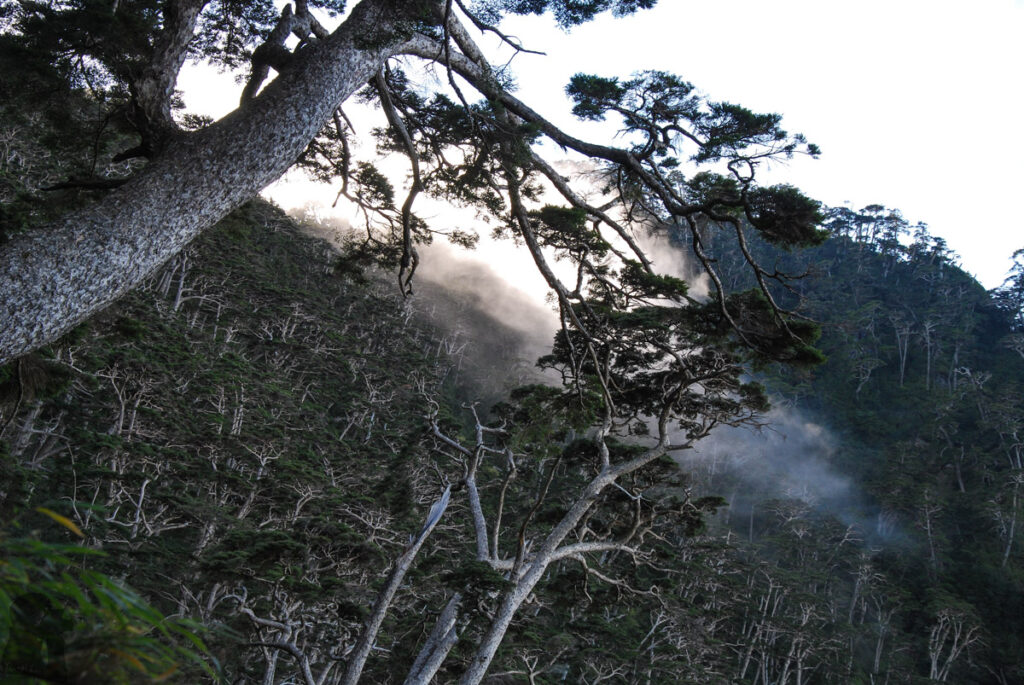 Beidawushan (北大武山), the Southernmost Baiyue, Guardian of the Southern Taiwan Beidawushan