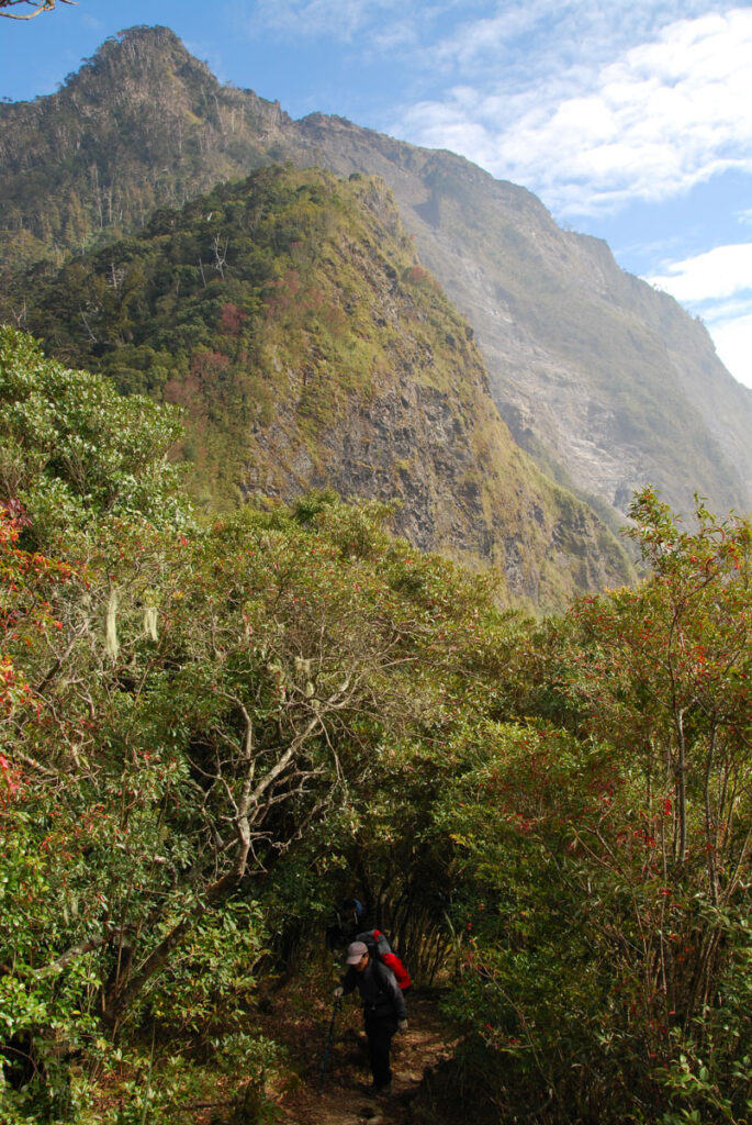 Beidawushan (北大武山), the Southernmost Baiyue, Guardian of the Southern Taiwan Beidawushan Trail