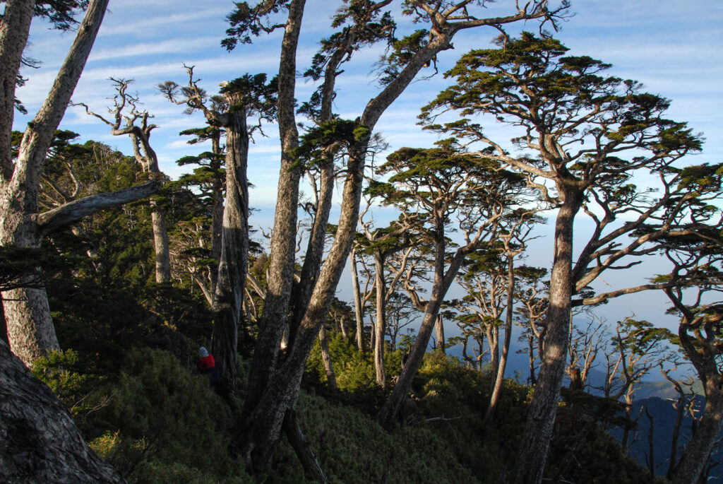 Beidawushan (北大武山), the Southernmost Baiyue, Guardian of the Southern Taiwan Beidawushan