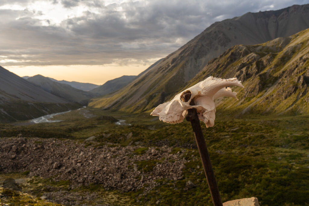 Cameron Hut, a Strenuous Hike to the Remotest Hut in Canterbury On the top of a mound near the hut