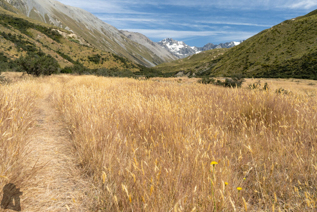 Cameron Hut, a Strenuous Hike to the Remotest Hut in Canterbury Cameron Hut Route