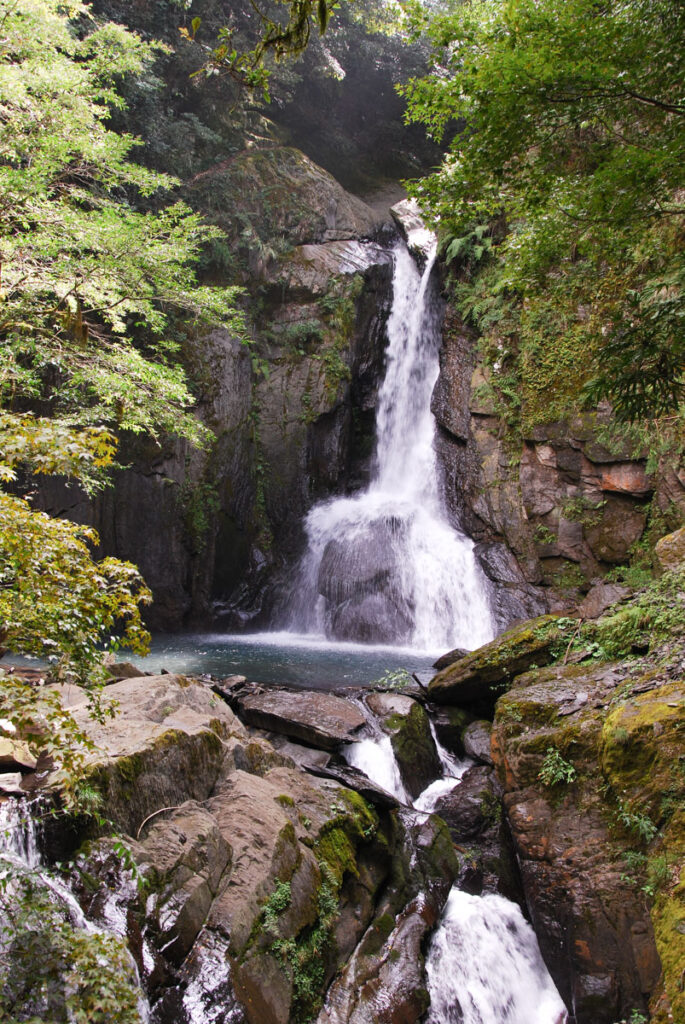 Dabajianshan (大霸尖山), the Iconic High Mountain with the Imposing Summit Dalu Forest Road East Branch