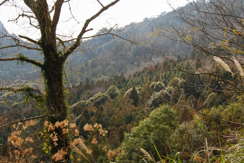 Dabajianshan (大霸尖山), the Iconic High Mountain with the Imposing Summit