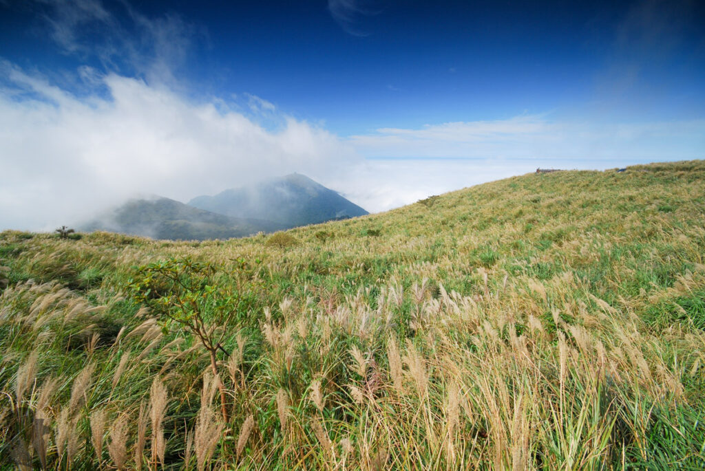 Datunshan (大屯山) & Miantianshan (面天山), the Lush Home of Silver Grass Datunshan