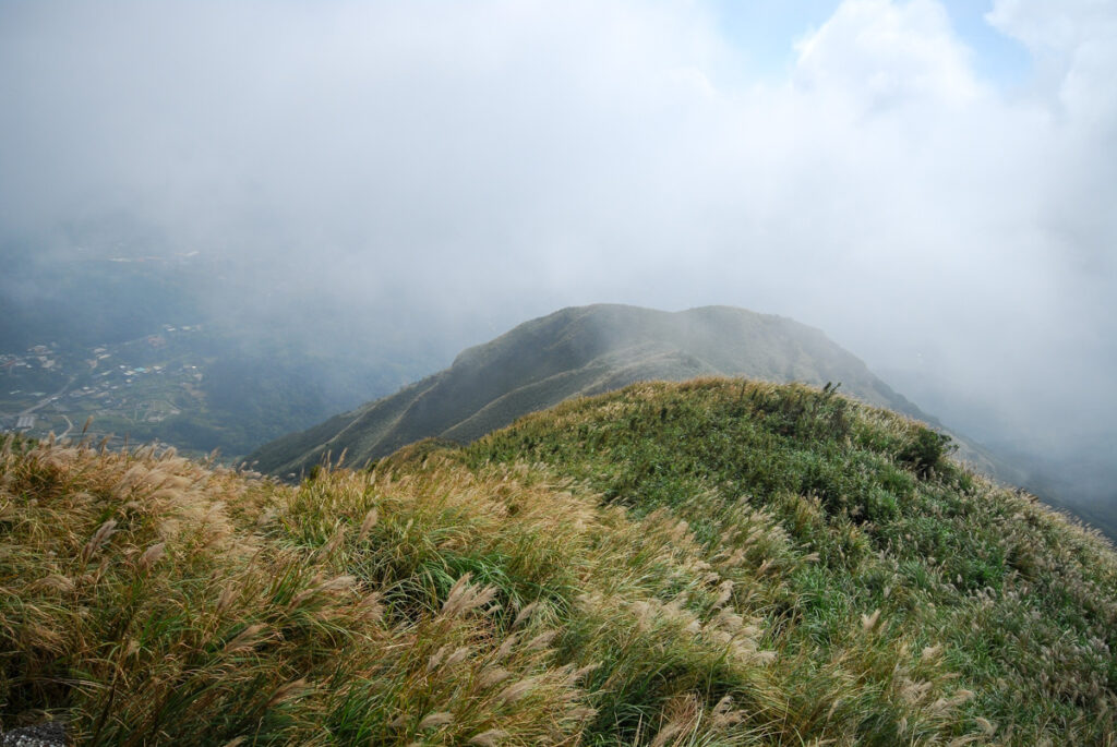 Datunshan (大屯山) & Miantianshan (面天山), the Lush Home of Silver Grass Datunshan