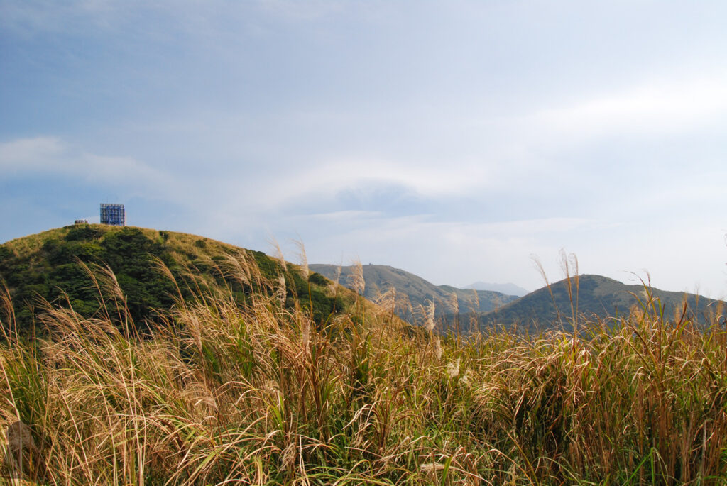 Datunshan (大屯山) & Miantianshan (面天山), the Lush Home of Silver Grass Miantianshan